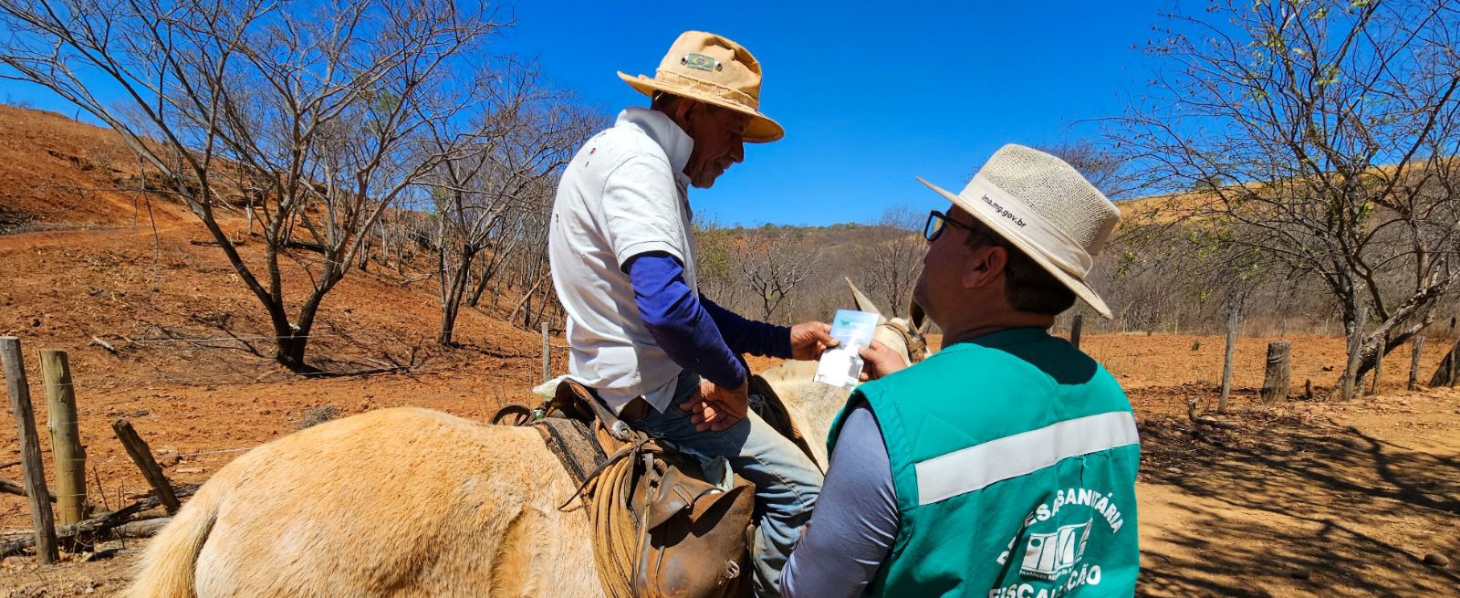 Agência Minas Gerais | Ações do Instituto Mineiro de Agropecuária marcam o desenvolvimento do agro mineiro em 2025