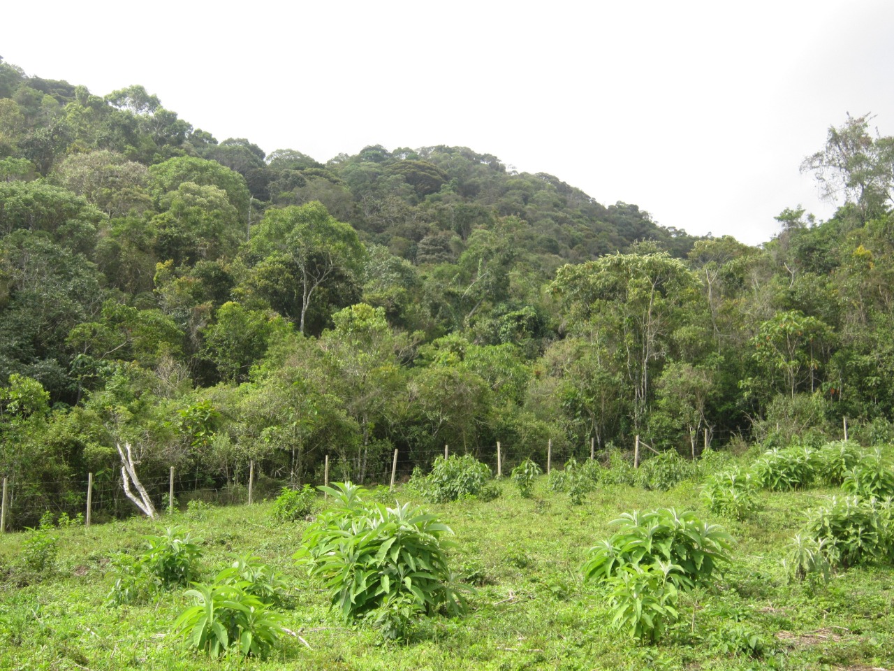 Agência Minas Gerais | ICMS Ecológico passa a integrar Painel de Indicadores do Sisema e já soma mais de R$ 1 bilhão em repasses aos municípios